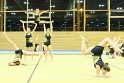 show (45)
